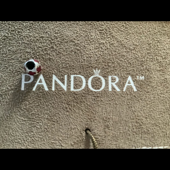 Silver with red Pandora bead - Picture 2 of 2